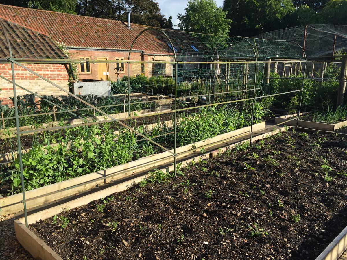 Chippenham Park Garden Rooms Eksteriør bilde